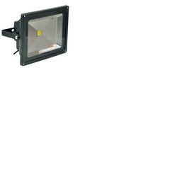 Exterior LED Flood