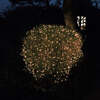 Noma Christmas 120, 180, 240, 360, 480 Multifunction LED Lights with Green Cable