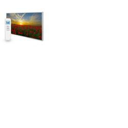 595x995 Setting Sun Image Nexus Wi