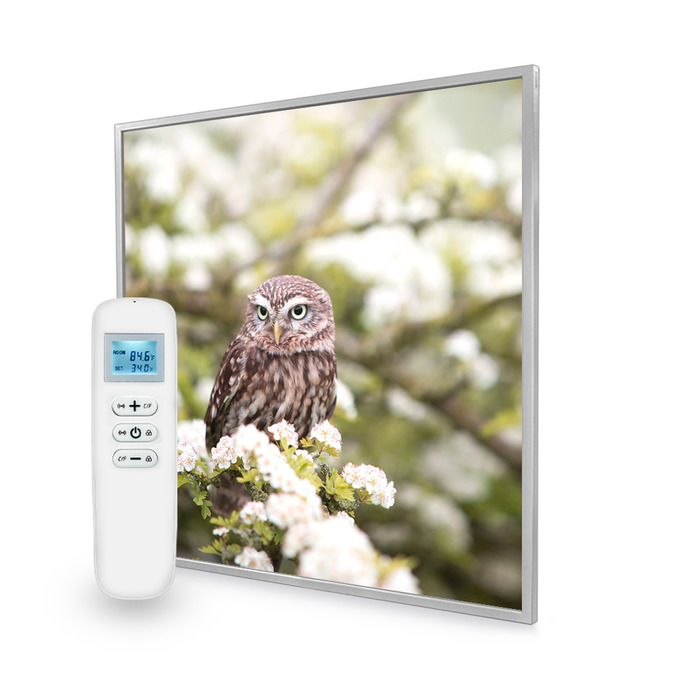 595x595 Owl In The Spring Picture Nexus Wi
