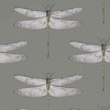 Harlequin Demoiselle Dragonfly Wallpaper Graphite