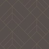 Sander Geometric Brown