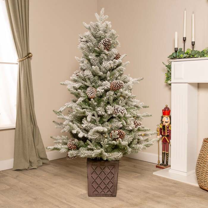 Kensington Fir Artificial Pre