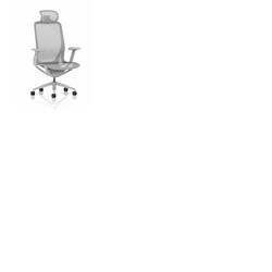 Lumo Executive Mesh Chair