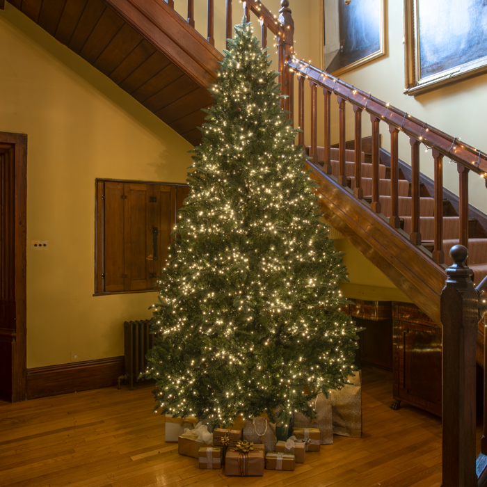 Windsor Fir Artificial Pre-Lit PE Christmas Tree 6. 5FT, 7. 5FT, 8. 5FT, 10FT, 6. 5ft (2m)