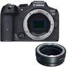 Canon EOS R7 Mirrorless Camera Body with EF-EOS R mount adapter