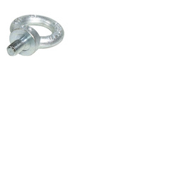 Doughty Eye Bolt M12