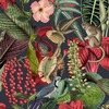 Amazon Wallpaper Black