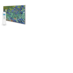 795x1195 Irises Picture Nexus Wi