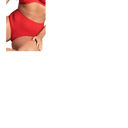 Panache High Waist Bikini Brief