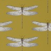 Harlequin Demoiselle Dragonfly Wallpaper Ochre
