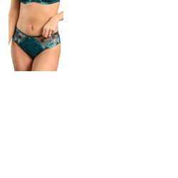 Pour Moi Sofia Lace Embroidered Brief