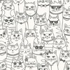 Cats Colour