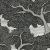 Harlequin Eternal Oak Wallpaper Ebony
