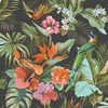 Paradise Birds Textured Heavyweight Vinyl Wallpaper Black
