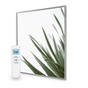 995x1195 Minimal Leaf Picture Nexus Wi