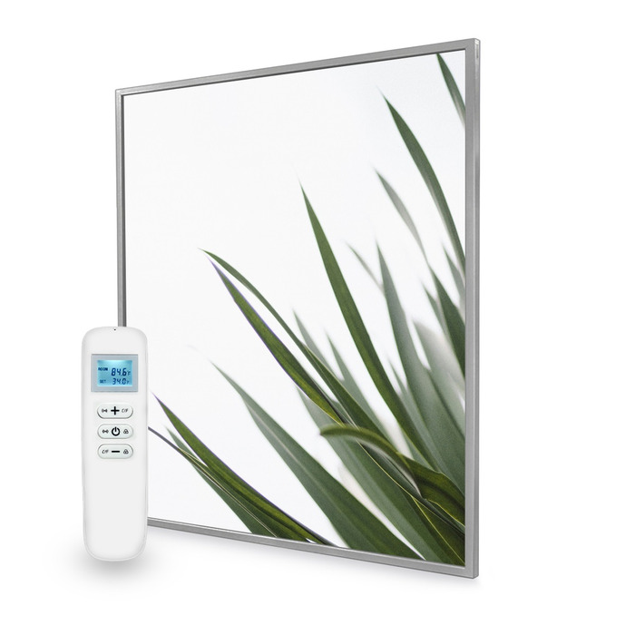 995x1195 Minimal Leaf Picture Nexus Wi