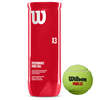 Wilson X3 Padel Balls