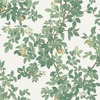 Orange Tree Wallpaper Cream